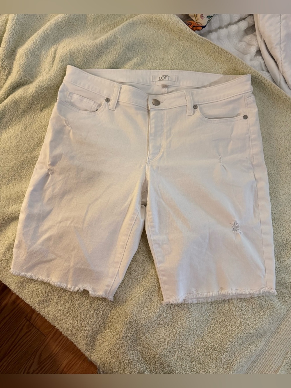 Loft Shorts